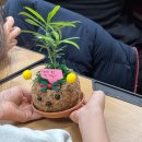 안양부흥초등학교 | 초등 학교인성교육 수업후기, 환경보호를 배우는 원예체험