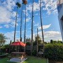 덕수리-2 이미지