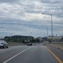 러빙펫 강아지분양 배곧본점 | 배곧 강아지분양 할까 말까 고민했던 일상 (feat. 말티푸)