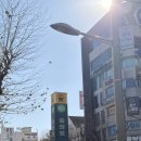 루리부티크 - 부산진구 전포대로186번길 27 | 시루케익전문점 말차시루·딸기막내시루 비교 구매 후기 – 평일 웨이팅 시간·구매제한·주차 팁까지