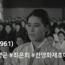 상록수(Evergreen) 이미지