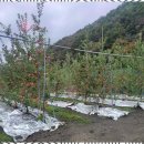 힐링펜션민박 이미지