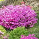 박달재휴양림 이미지