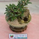 원남면 주민자치센터 이미지