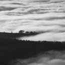 건강과약초 이미지