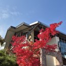 (주)버드에너지 광주제일 | 2025년 화담숲 예약 단풍 절정 및 포토스팟, 11월 첫째주 방문 후기