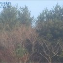 중문동-14 이미지