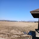 옥산신도시공인중개사사무소 이미지