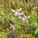 건영승마장 이미지