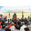 일로 이미지