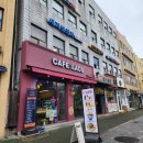 햇살 기공소 | [송파/석촌] 데이지홈 스튜디오 방문후기 (비오고 흐린 날에도 밝은 실내, 자연광/채광이 잘 드는...