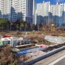 아름동_아름초등학교앞 이미지