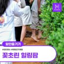 (주)국초쑥나라 | 제15기 함안 블로그 기자단 팸투어 생생후기(꽃초린 힐링팜·함안 낙화놀이 전수관 체험)