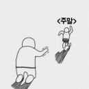 오비베어 이미지