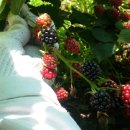 진건약품 이미지