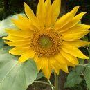 상동주민센터 이미지