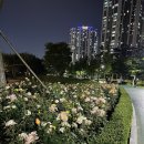 청라호수공원(제3주차장) 이미지