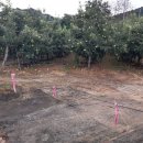 주덕읍사무소 이미지