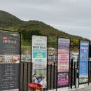 경남 하동가볼만한곳 하동 금오산 하동케이블카 크리스탈캐빈 후기