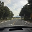 똥싼 강아지 펫아울렛 | [켄싱턴리조트 설악밸리 펫베른] 울산바위뷰 애견동반리조트 설악밸리 펫베른 후기