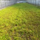 여장부(1농장) 이미지