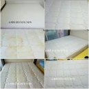 명지애견 이미지