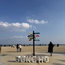 르컬렉티브속초해변 이미지