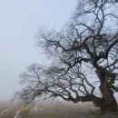 등계경로당 이미지