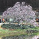 구름동산 이미지