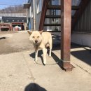 시낭북로 이미지