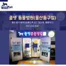 쿨펫 동물병원 동구점 이미지