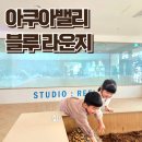 미디어피쉬 | 5살 아이와 동성로이색체험카페 아쿠아밸리 블루 라운지 동성로점 미디어아트 동물교감체험 후기