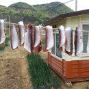 가덕농장 이미지