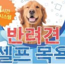 골든셀프워시 이미지