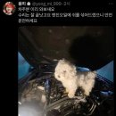 차주세요 Daum카페