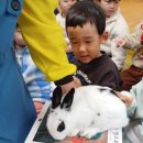 꼬망세하바어린이집 이미지