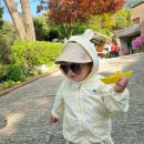 나무이야기 펜션 리솜포레스트 이미지