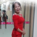 빠꿈사리 이미지