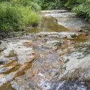 백화화원 이미지