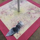 광성농장-2 이미지