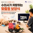 아이동물병원