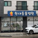 수청포근동물병원
