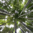 추성경기장(추성무대) 이미지