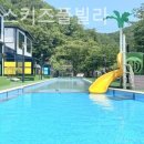 아이리스키즈풀빌라 네이버블로그