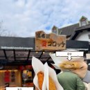 에스.에스 소프트(S.S 소프트) | [나 홀로 후쿠오카] 2일차 : 파워 J의 즉흥 버스투어