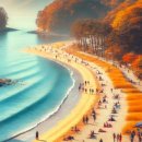 2024 청정완도 가을 섬여행 이미지