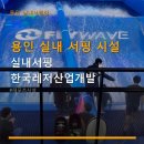 용인 실내 서핑 시설 실내서핑 한국레저산업개발 창업 전문 기업 정보 안내