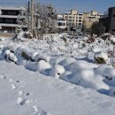 하얀농장 이미지