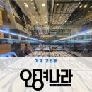 다모아마트 | 거제안경 고현안경 거제 중곡동 안경나라 고현점