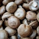 준호농장 이미지